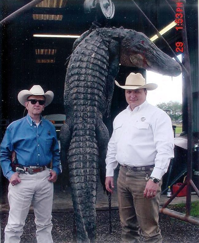 Texas Rangers get big alligator