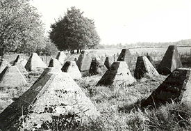 Siegfried line
