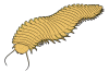 Arthropleura was a giant relative of centipedes and millipedes that lived during the Upper Carboniferous period.