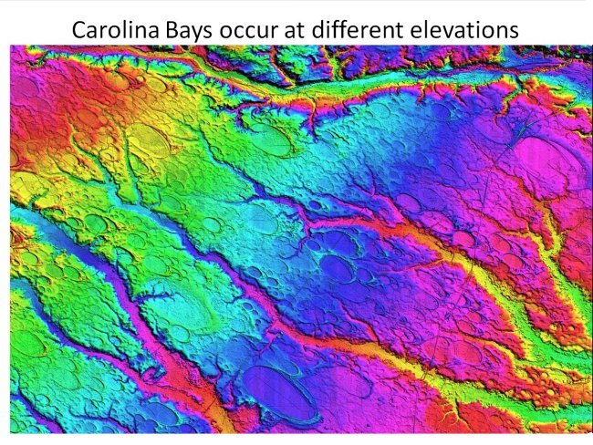 Carolina bays occur at different elevations