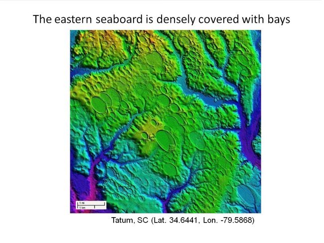 Carolina Bays are distributed densely