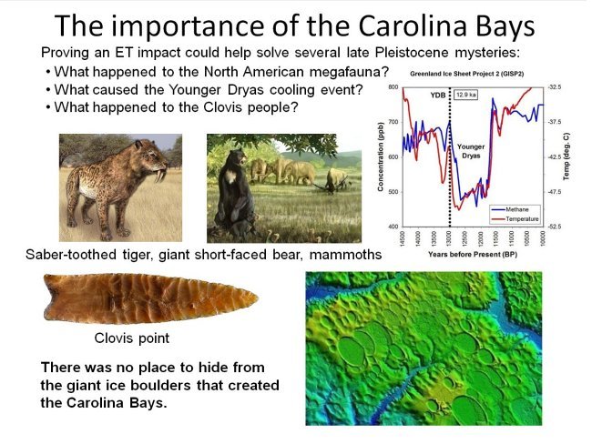 The importance of the Carolina Bays