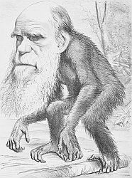 Thesis about evolution vs creationism