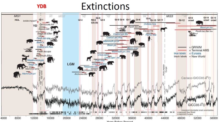 Extinctions