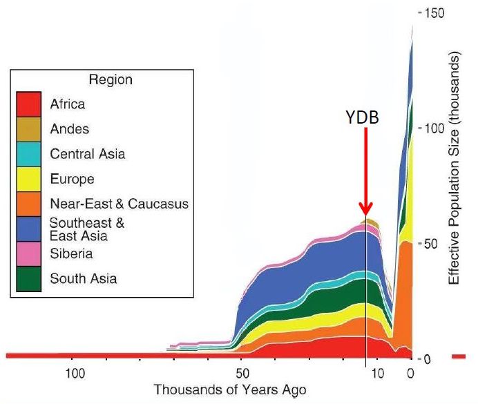 Y-Chromosome bottleneck