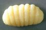 Gnocchi