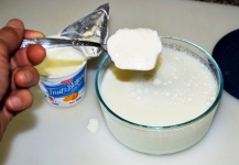 Inoculating the yogurt culture
