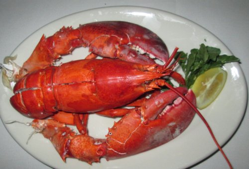 Morton's Lobster