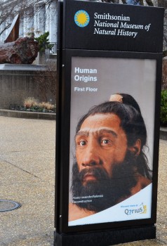 Hall of Human Origins