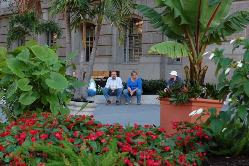 Visitors Resting