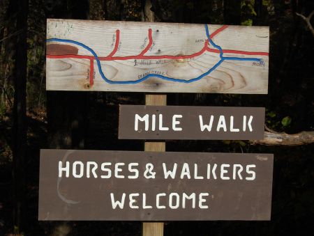 Grassy Creek Falls entrance