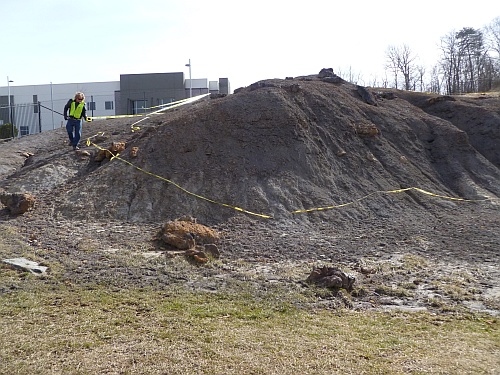 The digging area