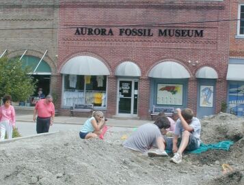 Fossil Museum