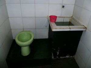 Indonesian toilet