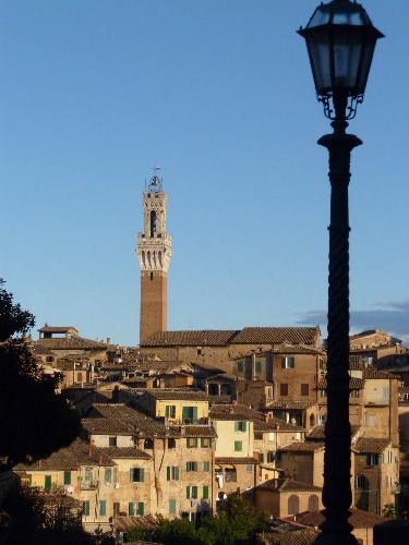 Torre del Mangia viewed from the Basilica of San Domenico