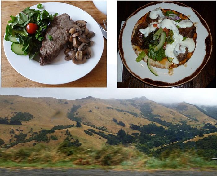 New Zealand Food and countryside