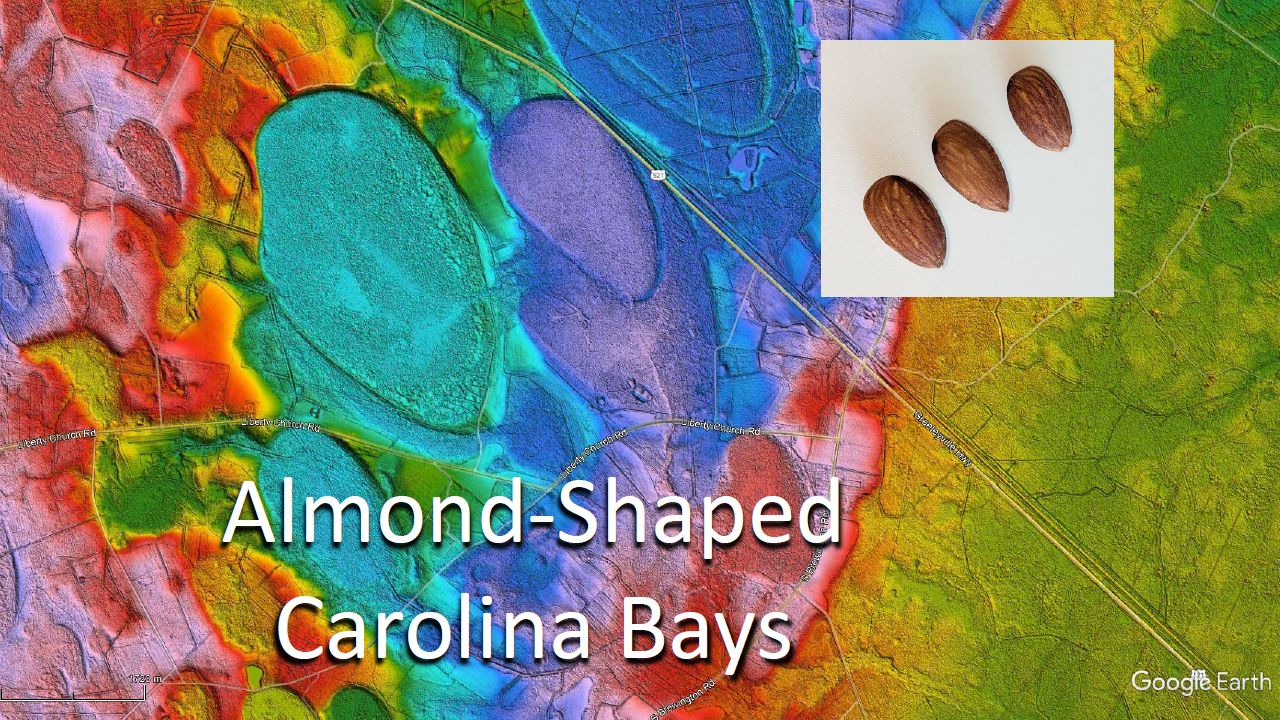 Almond-shaped Carolina Bays