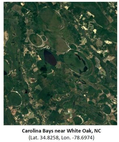 Satellite image of Carolina Bays