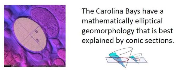 Carolina Bays have a mathematically elliptical geomorphology