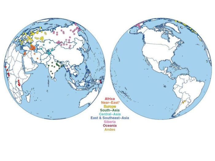 Region for samples