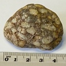 Conglomerate