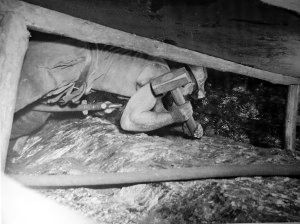 Dutch Coal Mines