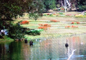 Maymyo Botanical garden