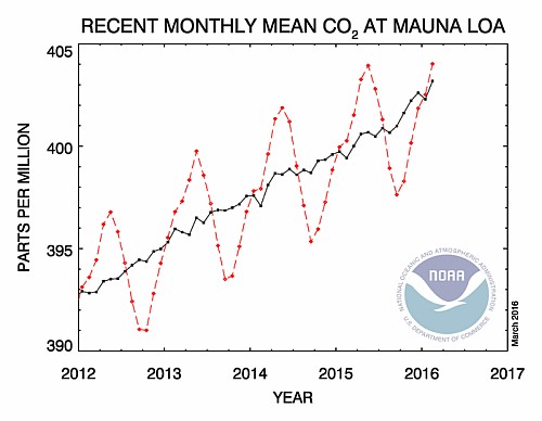 Mean monthly carbon dioxide level at Mauna Loa