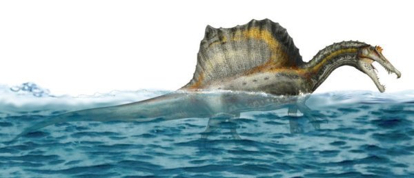 Spinosaurus