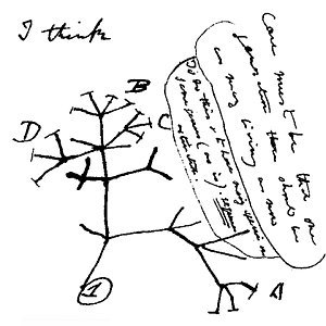 Darwin's Tree of life, July 1837
