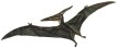 Pterosaurs existed from the late Triassic to the end of the Cretaceous Period.