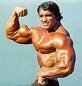 Arnold Schwarzenegger