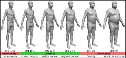 Typical body shapes for male BMI
