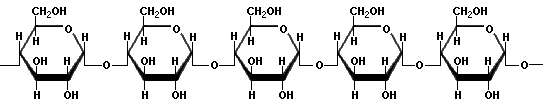 amylose, a polysaccharide in starch