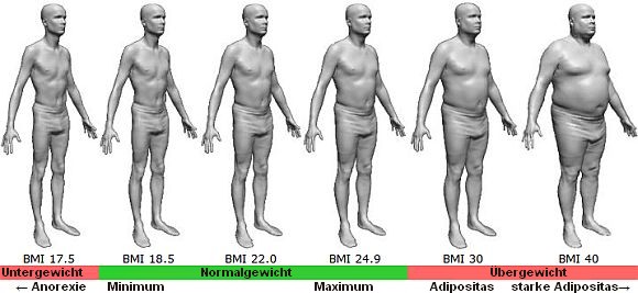 BMI männlich