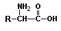 Amino Acid