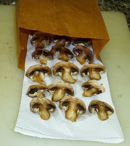 Freeze drying mushrooms