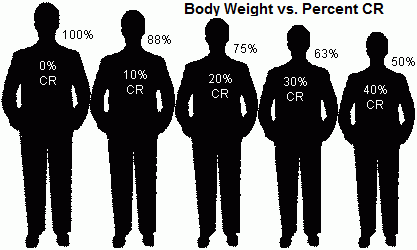 Effect of CR on body weight