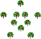 Árboles
