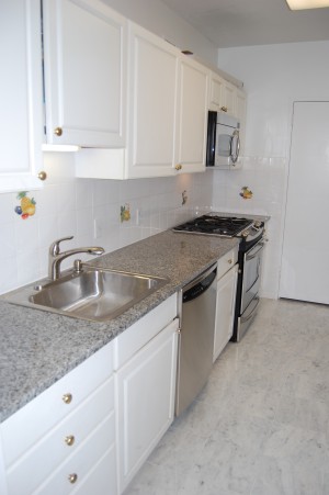 Renovated Kitchen