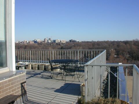 Looking north