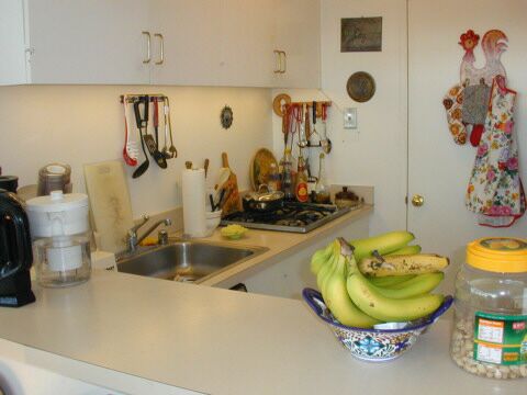 Penthouse kitchen