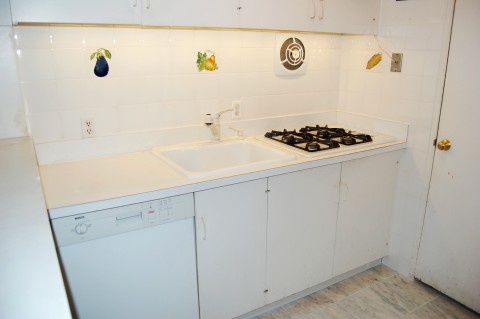 Penthouse kitchen 2008