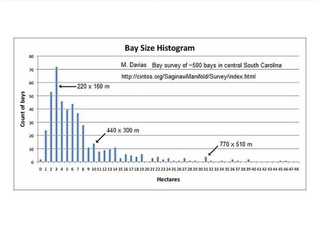 Carolina Bay sizes